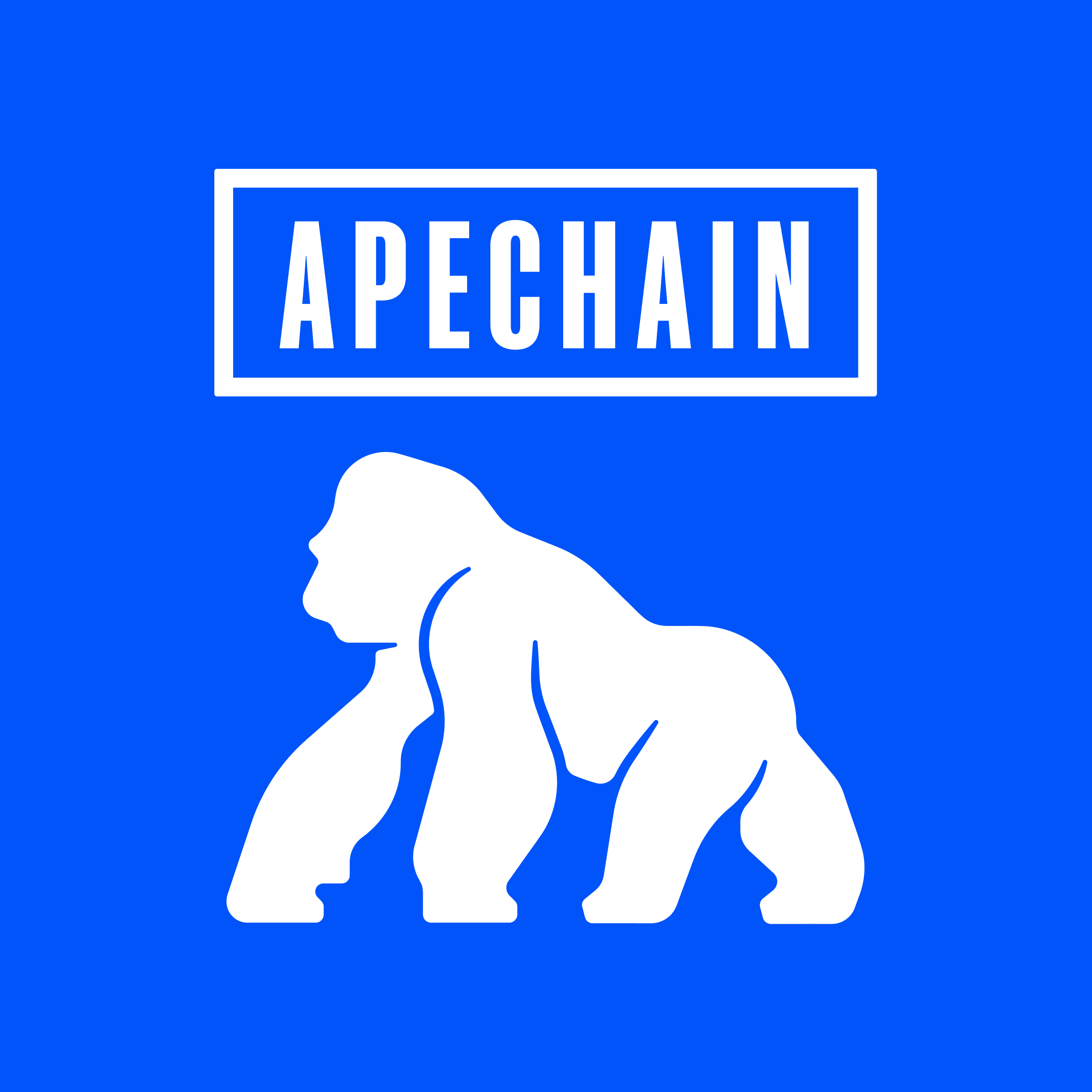 ApeChain Logo